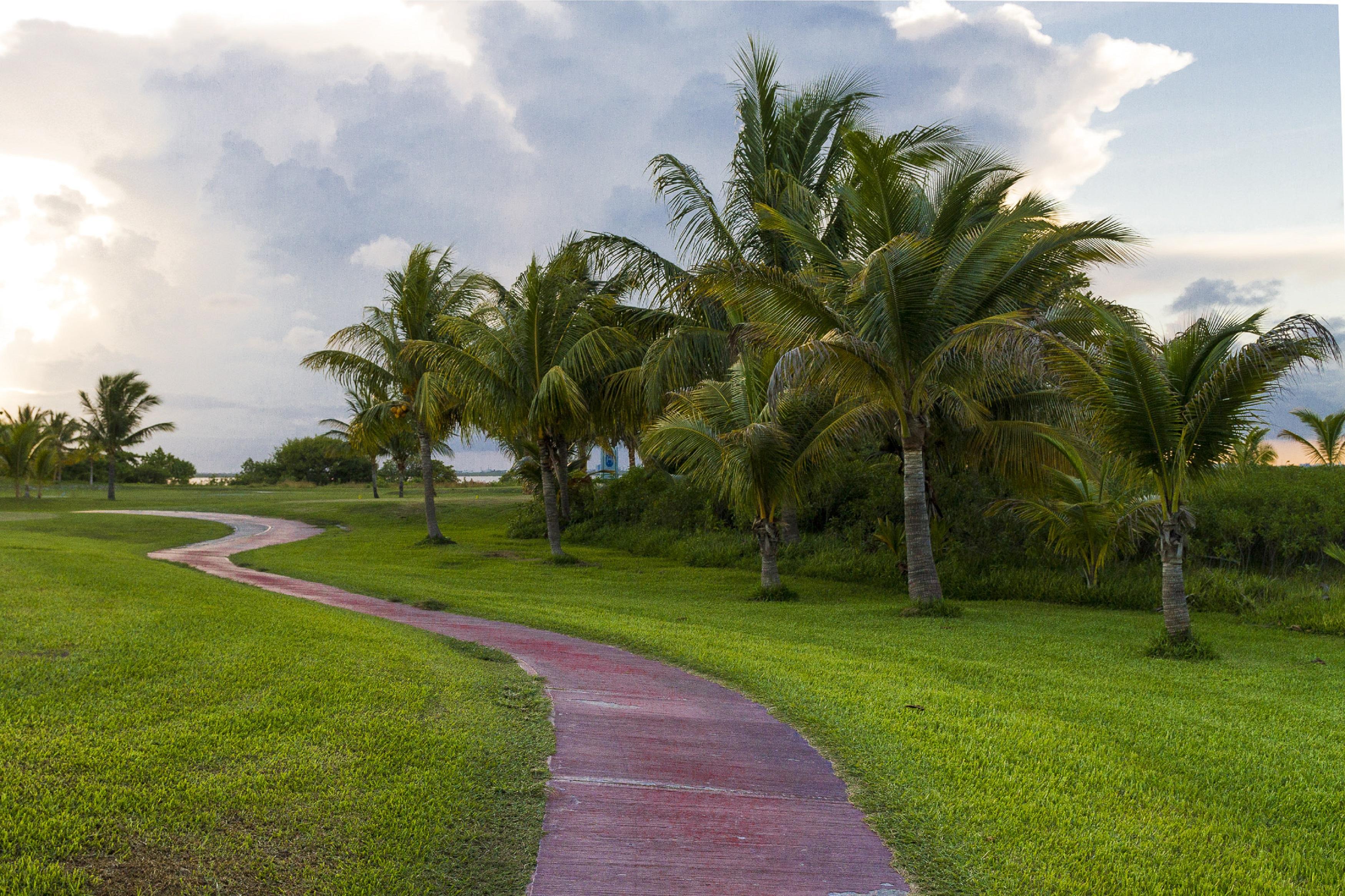 Las Gaviotas Hotel & Suites Cancun Dış mekan fotoğraf